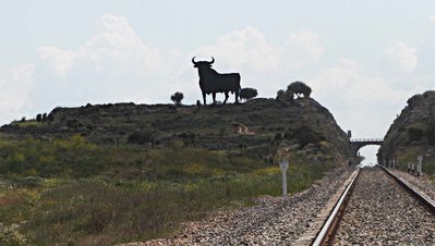 Ein großer, schwarzer Stier steht majestätisch auf einem Hügel, umgeben von grünen Wiesen und einem klaren Himmel.