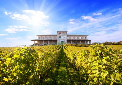 Ein prächtiges Weingut erhebt sich majestätisch über die üppigen Weinreben, die im Sonnenlicht leuchten.