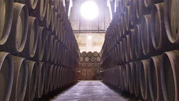 Der Blick in einen Weinkeller zeigt eine beeindruckende Anordnung von Fässern, die von einem großen, runden Fenster beleuchtet werden.