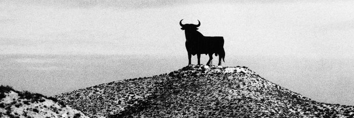 Ein großer, schwarzer Stier steht majestätisch auf einem Hügel, umgeben von einer kargen, wüstenähnlichen Landschaft.