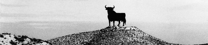 Ein großer, schwarzer Stier steht majestätisch auf einem Hügel, umgeben von einer kargen, sandigen Landschaft.