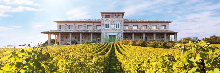 Ein prächtiges Weingut mit einer beeindruckenden Fassade, umgeben von üppigen Weinreben und einem strahlend blauen Himmel.